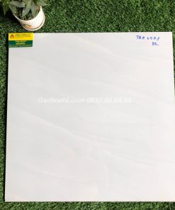 Gạch lát nền 60x60 bình chánh