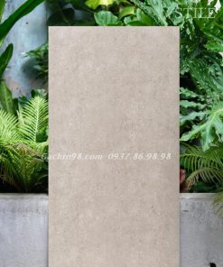 Gạch đá mờ 600x1200 Ấn Độ