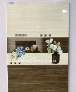 Gạch dán tường 30x60 long an