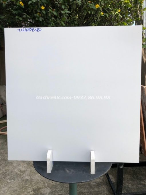 Đá mờ trắng trơn 60x60 bình tân