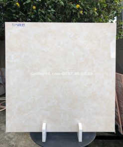 Gạch lót nền 60x60 tphcm