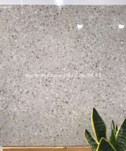 Gạch cao cấp ấn độ 60x60 giả đá terrazzo