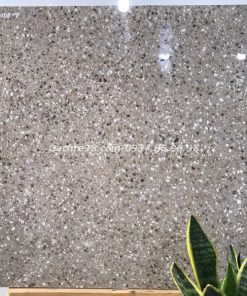 Gạch cao cấp ấn độ 60x60 giả terrazzo