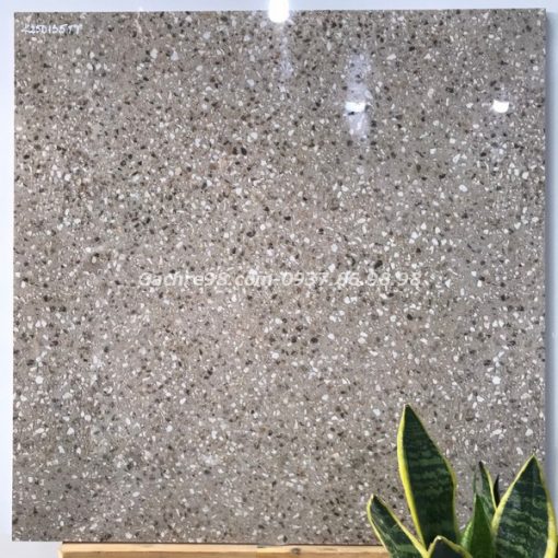 Gạch cao cấp ấn độ 60x60 giả terrazzo