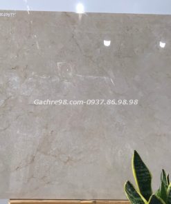 Gạch cao cấp Ấn Độ 60x60 vân đá