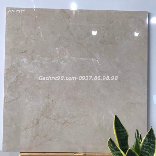 Gạch cao cấp Ấn Độ 60x60 vân đá