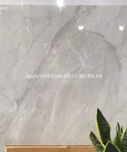 Gạch lát cao cấp Ấn Độ 600x600