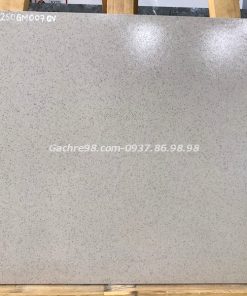 Gạch sân vườn đồng chất 40x40