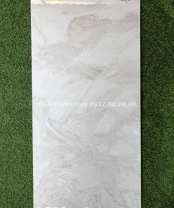 Gạch ấn độ 60x120 bóng kính vân đá