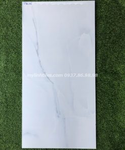 Gạch lót sàn ấn độ 60x120 hcm