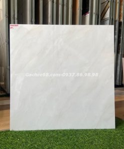 Gạch bóng kiếng 60x60 catalan giá rẻ