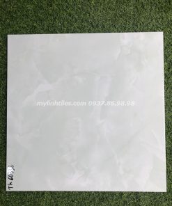 Gạch bóng kiếng 60x60 lát sàn mới nhất hcm