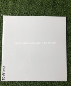 Gạch bóng kiếng 60x60 lát sàn nhà