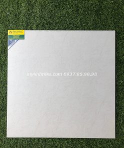 Gạch lát sàn men khô 60x60 hcm