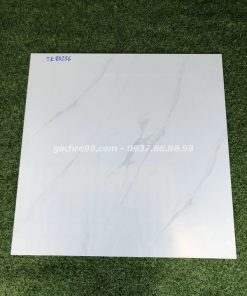 Gạch nền phòng khách 80x80 hcm