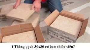 1 thung gach 30x30 bao nhieu vien