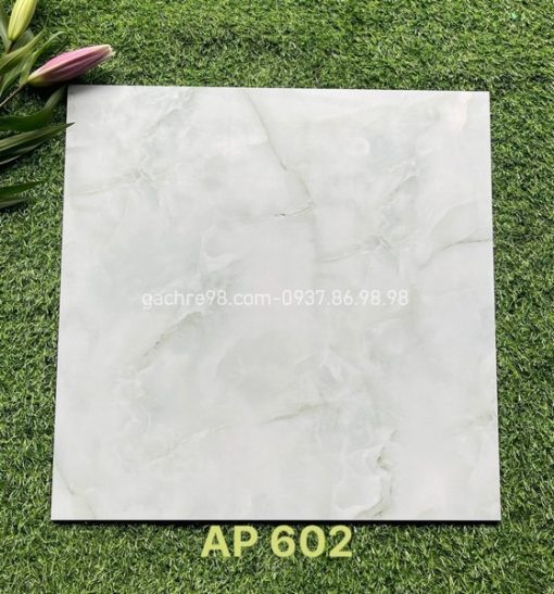 Gạch 60x60 Trung Nguyên AP602