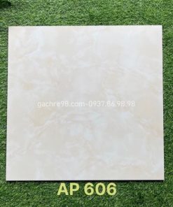 Gạch 60x60 Trung Nguyên AP606