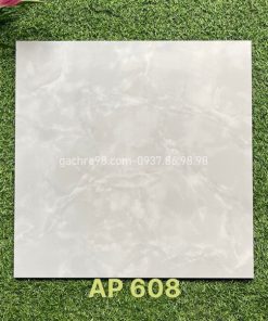 Gạch 60x60 Trung Nguyên AP608