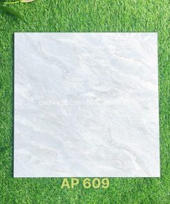 Gạch 60x60 Trung Nguyên AP609