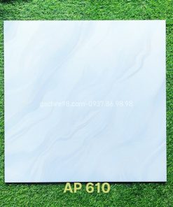 Gạch 60x60 Trung Nguyên AP610