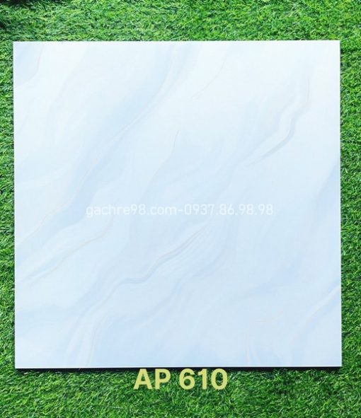 Gạch 60x60 Trung Nguyên AP610