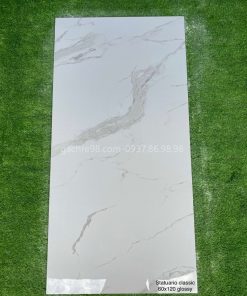 Gạch Ấn Độ 60x120 trắng vân marble