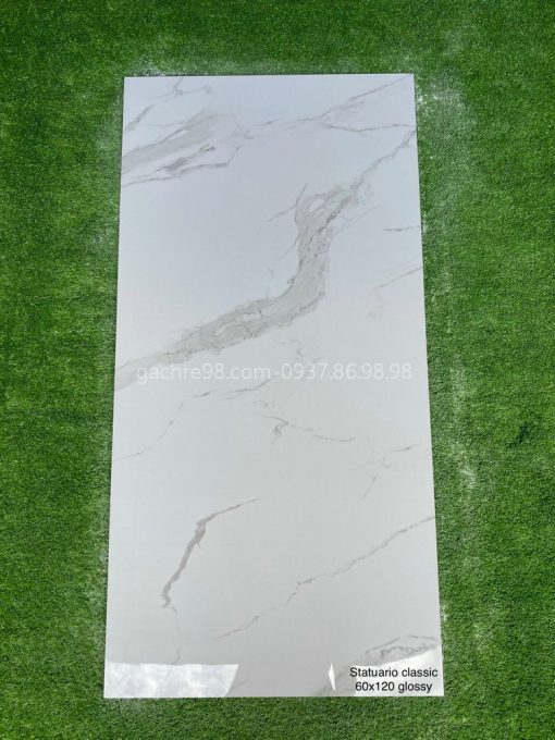 Gạch Ấn Độ 60x120 trắng vân marble