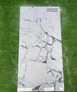 Gạch Ấn Độ 60x120 vân đá marble