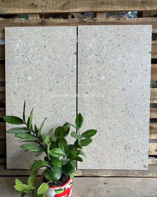 Gạch giả đá mài terrazzo 30x60 ốp nhà tắm